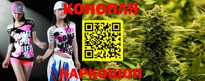 соль ск Новозыбков