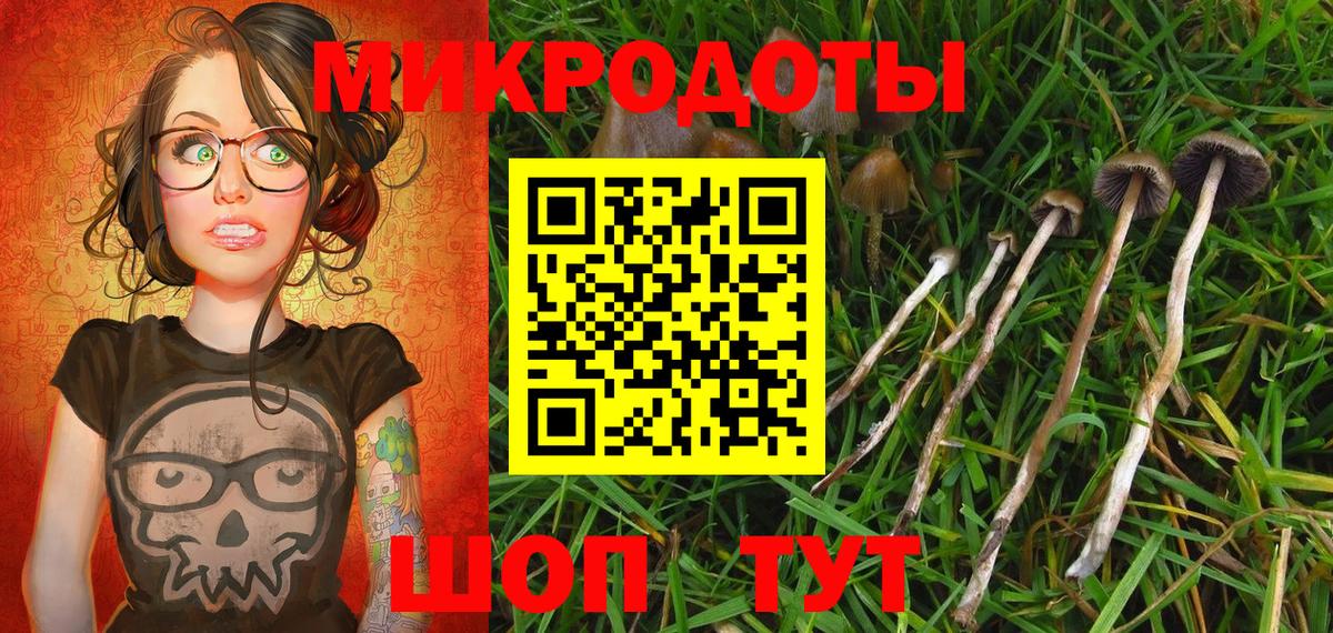 Псилоцибиновые грибы Cubensis  где купить наркоту  Ступино  Вход с VPN 
